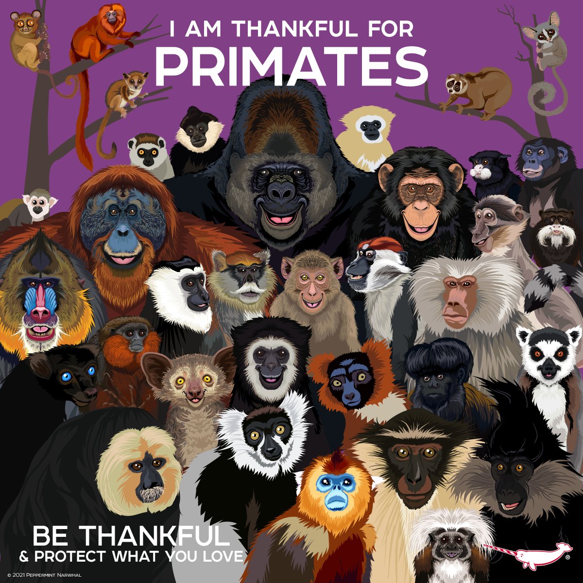 PepomintNarwhal's tweet photo. #Thankful #Primates
2022 Animal Calendar https://t.co/48budCETnr
#PeppermintNarwhal
Redbubble https://t.co/ISRfrTWwVu
TeePublic https://t.co/yNi4J9Tz7I
Zazzle https://t.co/NFmJJTiOHM
YouTube https://t.co/uKbf9WHgqP
#Primate #Ape #monkey #prosimian https://t.co/6U0WdPAC0m