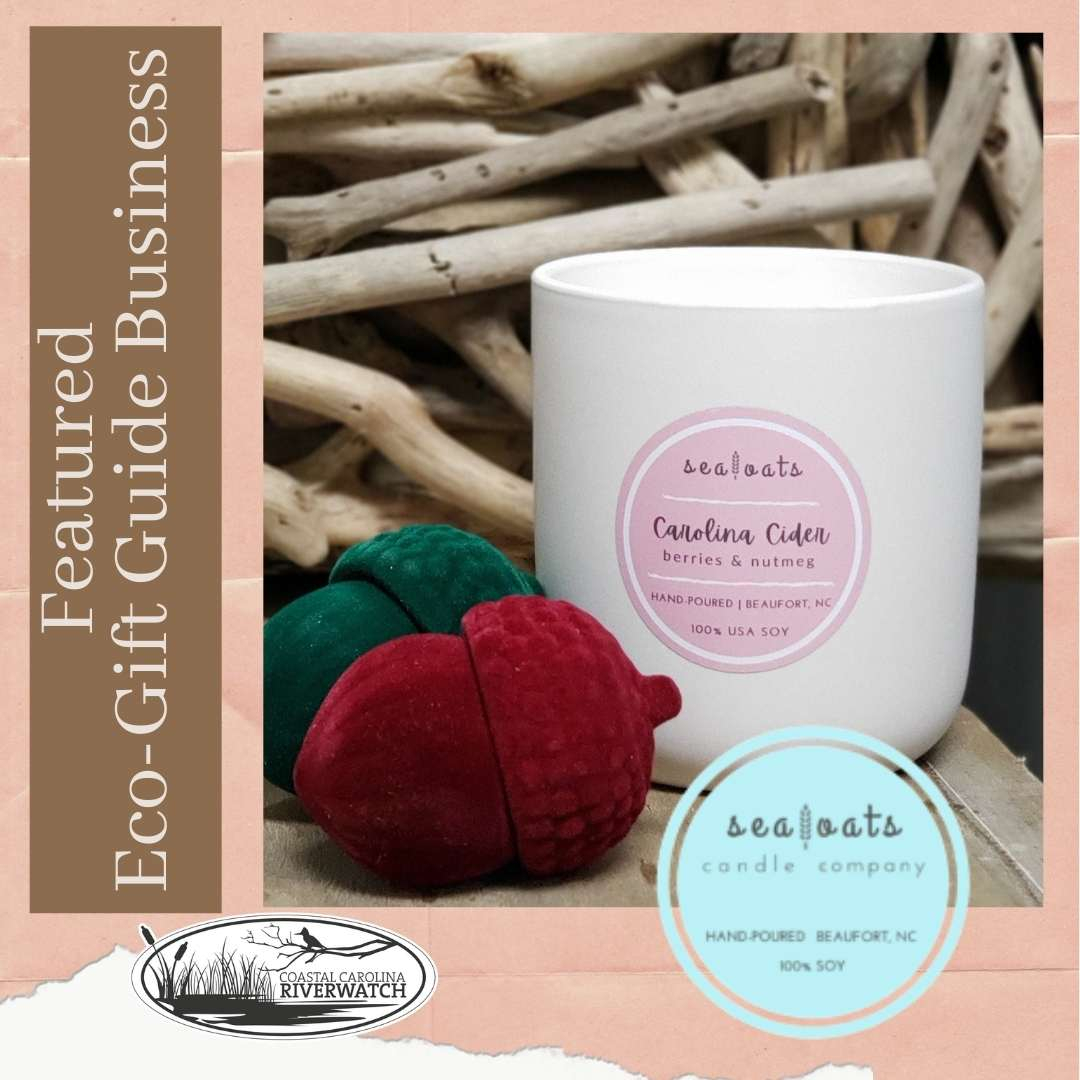 Coastal Carolina Riverwatch tweet media