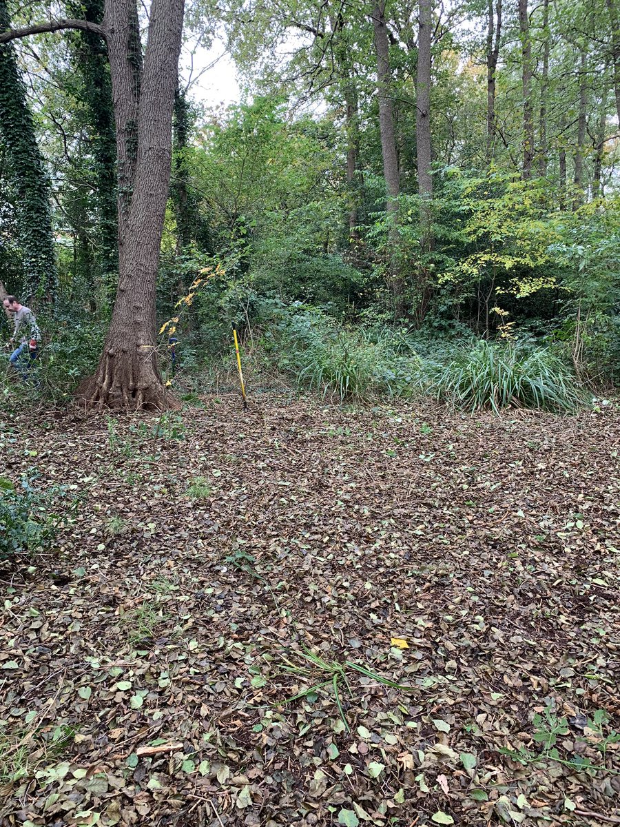 KateSLangford's tweet photo. Great morning with @high_broom volunteers clearing brambles https://t.co/V2RVhwoKOm