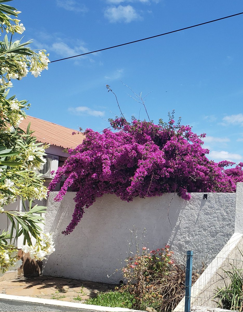 VÍCTOR LARREGUI tweet media