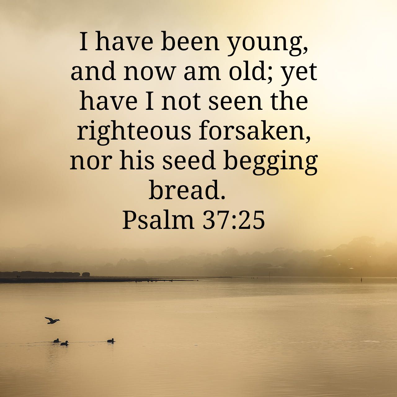 John Huie On Twitter: "I Have Been Young, And Now Am Old; Yet Have I Not  Seen The Righteous Forsaken, Nor His Seed Begging Bread. Psalm 37:25 Kjv  Https://T.co/Opv4Itixob Https://T.co/Yorxaehavi" / Twitter