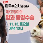 Photo by 미국수의사The Veterinarian's Diary (@VetonFire)