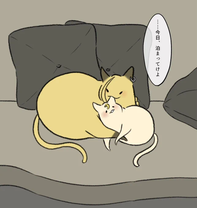 お泊まりに誘うにゃんこドラ武 