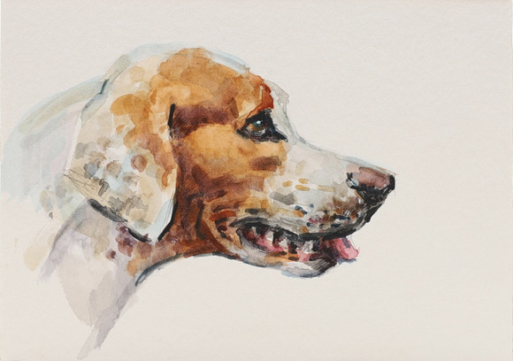 BSATrust's tweet image. Art on a postcard sponsored by Juddmontes.  Only 8 days left to bid. You could own a little piece of art drawn by a leading sporting artist or celebrity. From £25  Focusing on our canine friends today.  Bid here auctionet.com/en/themes/330-… #dogsofelon #countryside #art #sporting art