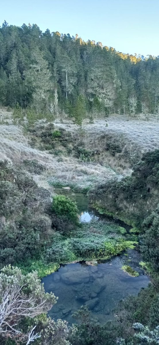 Orlando Jorge Mera tweet media