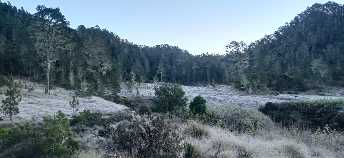 Orlando Jorge Mera tweet media