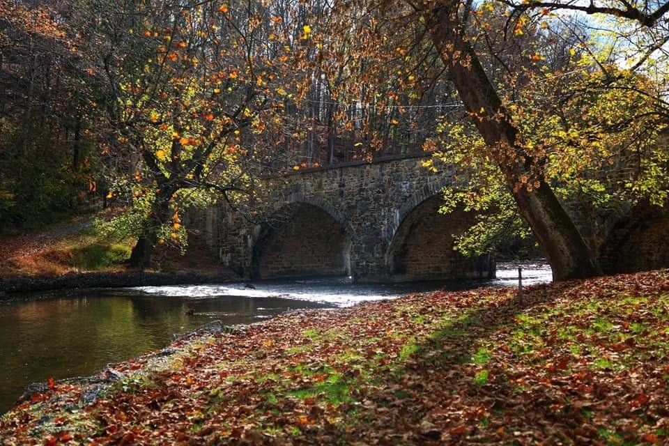 Vis_Symphonies's tweet photo. Devil's Backbone Park in Boonsboro, MD.
#MarylandPhotographer #westernmaryland #boonsboromd #fallcolors #fallfoliage #autumnleaves https://t.co/LigD965ADA