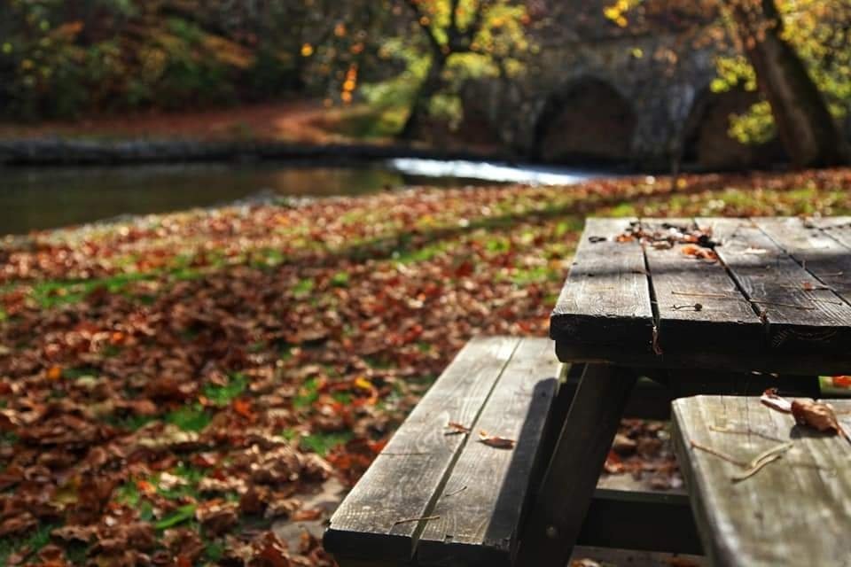 Vis_Symphonies's tweet photo. Devil's Backbone Park in Boonsboro, MD.
#MarylandPhotographer #westernmaryland #boonsboromd #fallcolors #fallfoliage #autumnleaves https://t.co/LigD965ADA