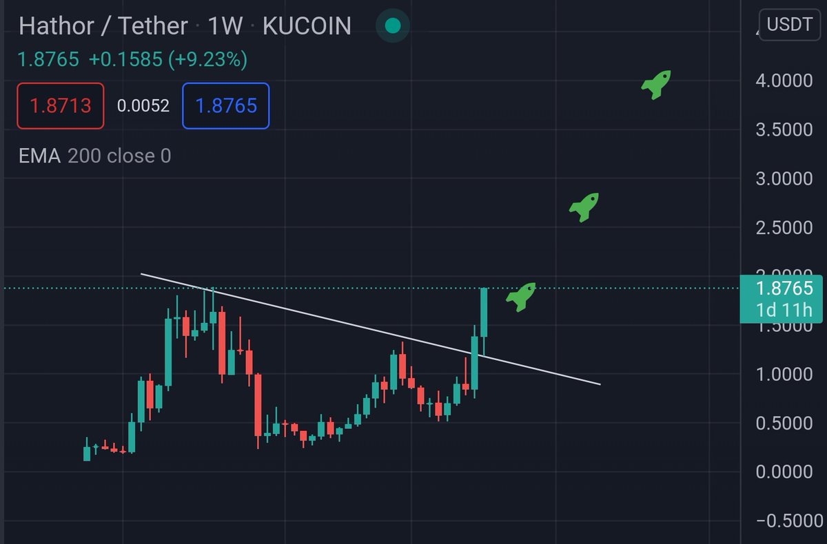 BITCOINTRAPPER tweet picture