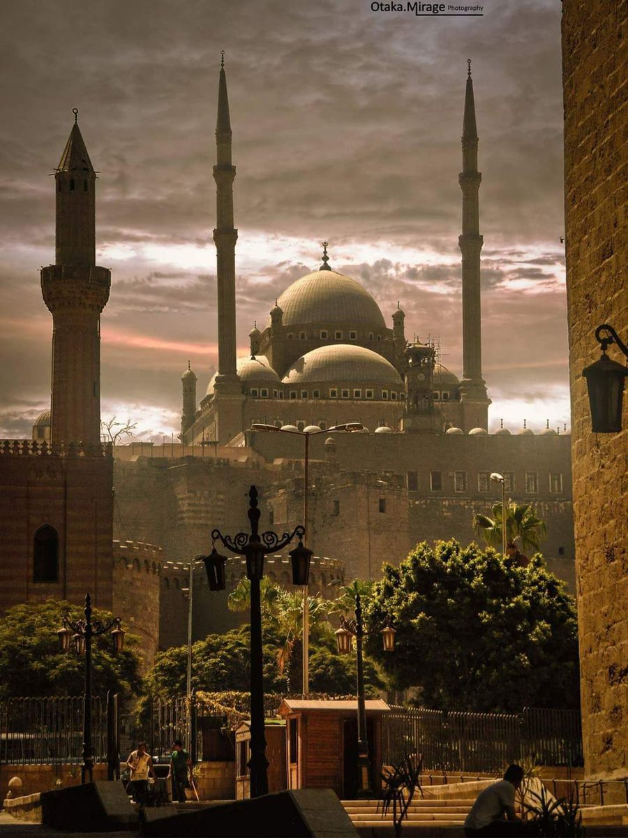 Arabbeau's tweet photo. Cairo Egypt https://t.co/UmaHUINctc