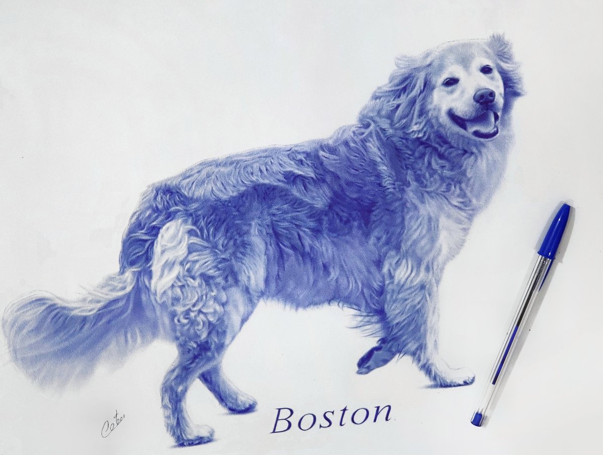 Ballpoint Pen drawing 🖊️
Commission work.