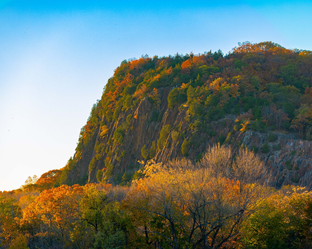 Southern Connecticut State University 🦉 tweet media