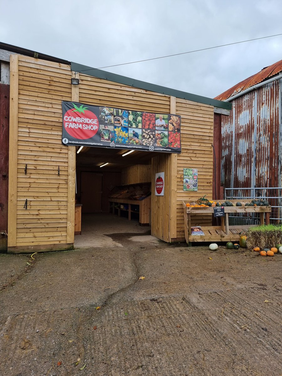 bettyface77's tweet photo. All going well so far! π #Cowbridge #Farm #Shop #SaturdayVibes #playingshop ππ https://t.co/aXsUTaW7eN