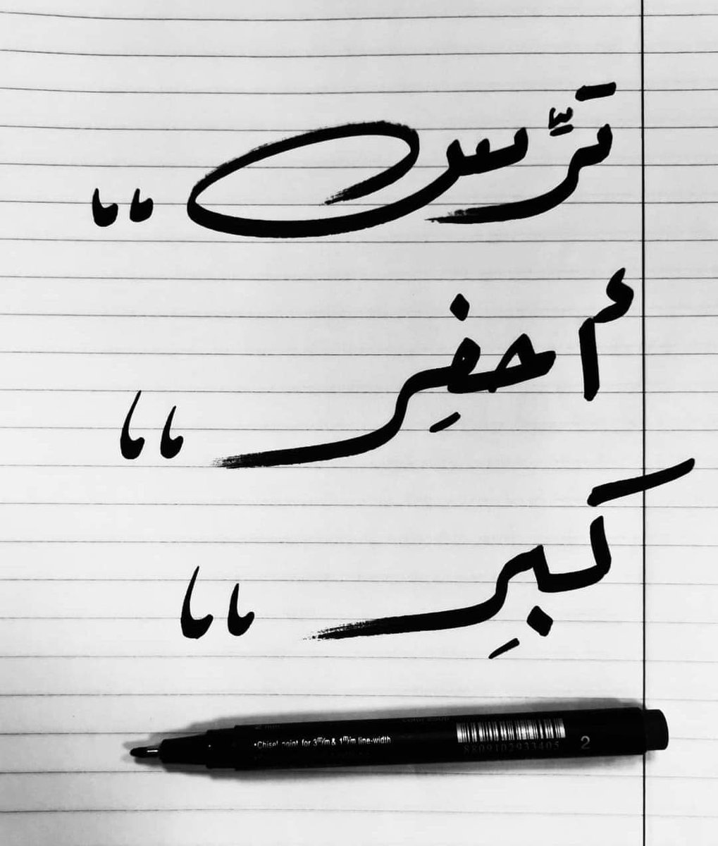 Botrosbashir4 tweet picture
