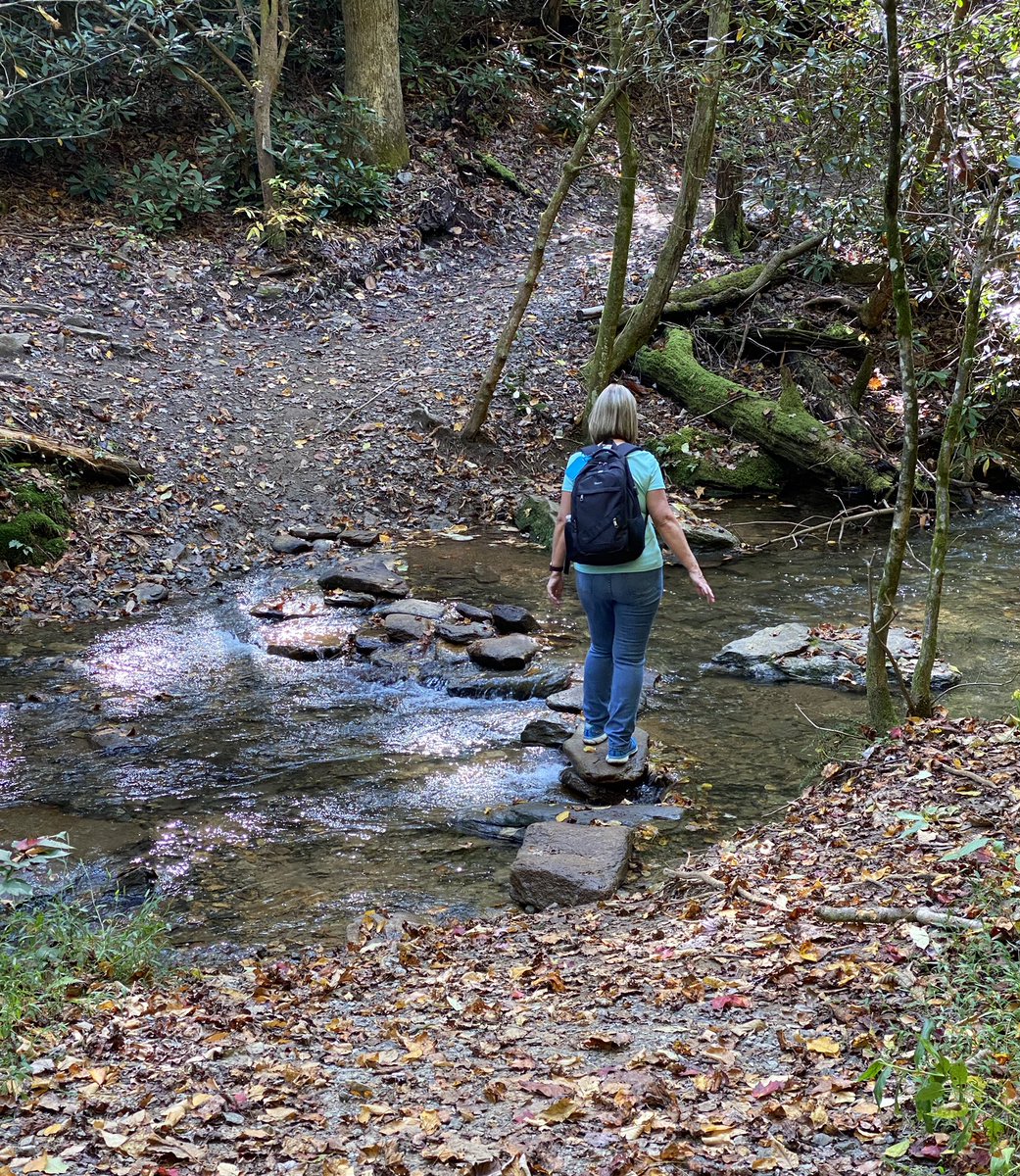 Valeries386's tweet image. #gofastgetitright hiking in the smokies.