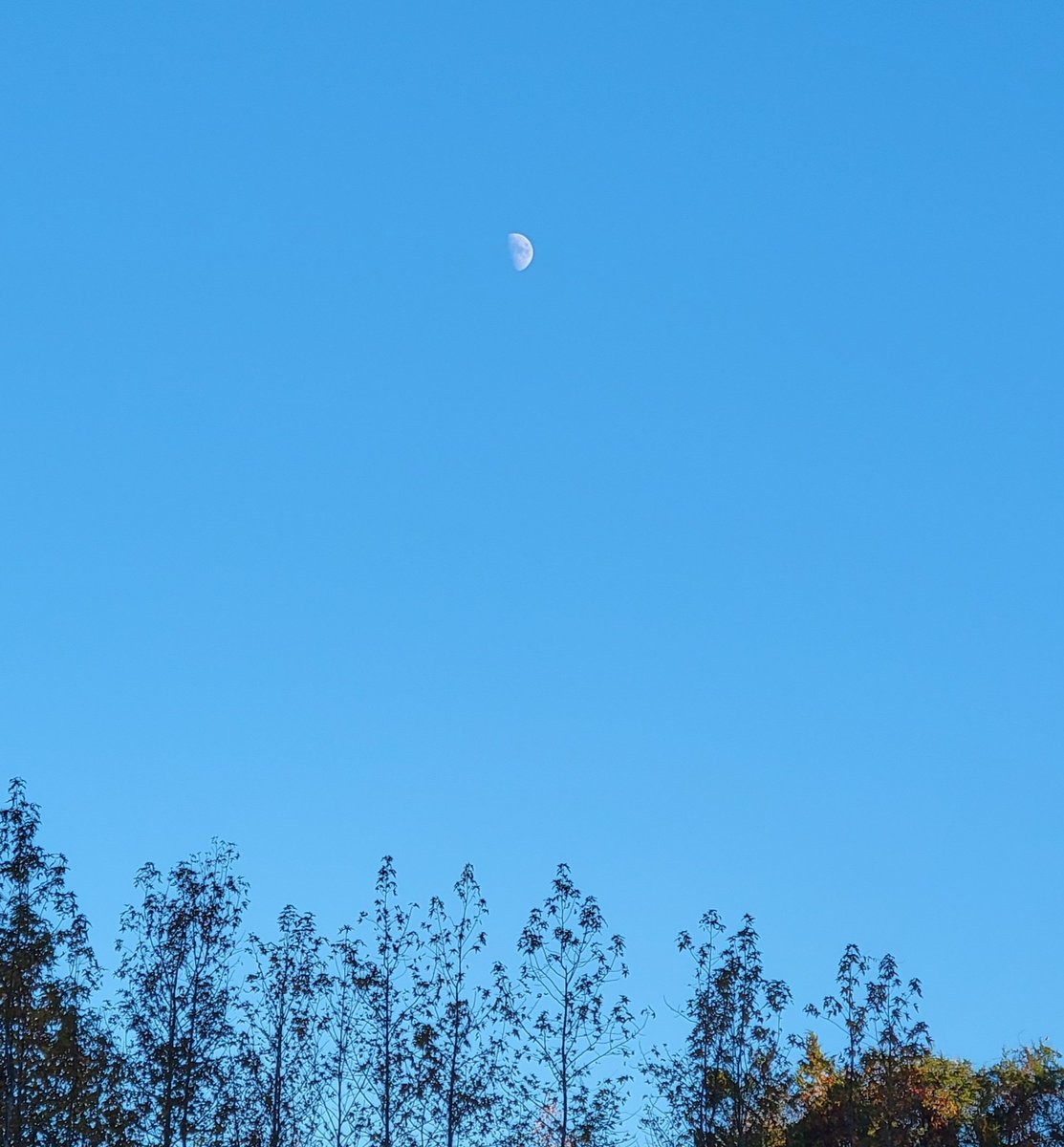 Finished off my day yesterday with a walk and caught a glimpse of the moon before the sun had gone down. This begs the question. . . what happens to a werewolf if they see the fullmoon while the sun is still out?