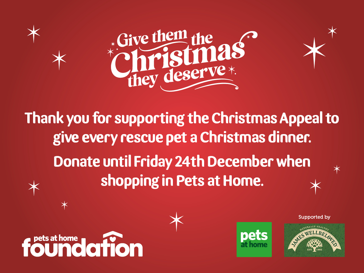 K9_Crusaders_'s tweet photo. Thank you from all at K9 Crusaders for your support of the #SantaPaws event https://t.co/QMmil46Tdh