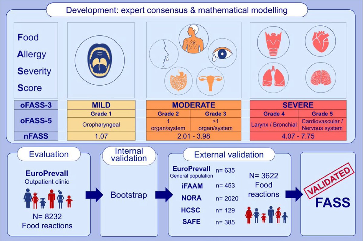 ProfGRoberts's tweet photo. In this recent @AllergyEaaci paper we describe the development and validation of a severity scoring system. We present a number of analyses to demonstrate its validity. #ifaam #PAAM2021 
https://t.co/1hjpWVm0pA https://t.co/6F9rWQX2oA