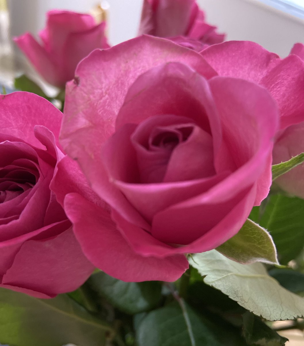 AFM_History's tweet image. Receiving a beautiful bunch of flowers from incredible students I have the privilege to teach. What a great end to the week! #gratefulteacher