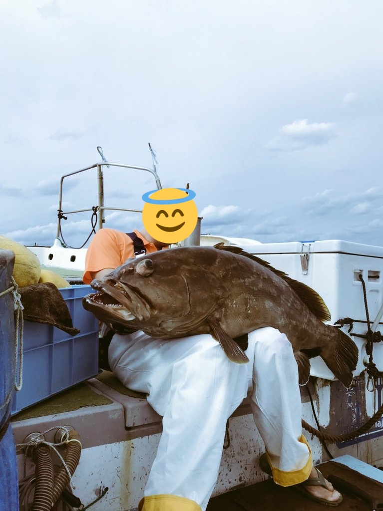 まるちん tweet media