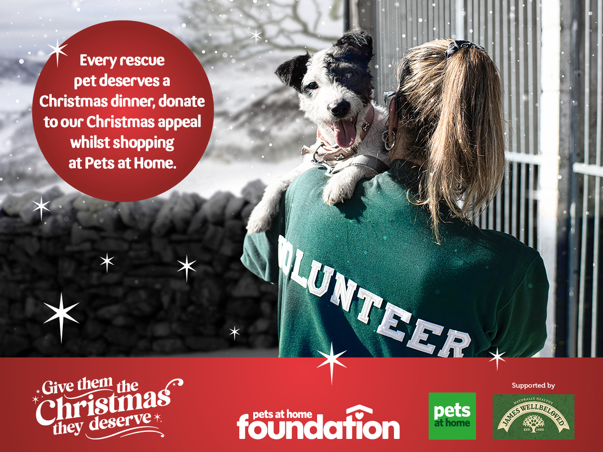 K9_Crusaders_'s tweet photo. Please do support this event - monies raised will be donated to local animal welfare centres such as ours and the Pets at Home Foundation grant programme. #SantaPaws https://t.co/93LeOjqeDZ