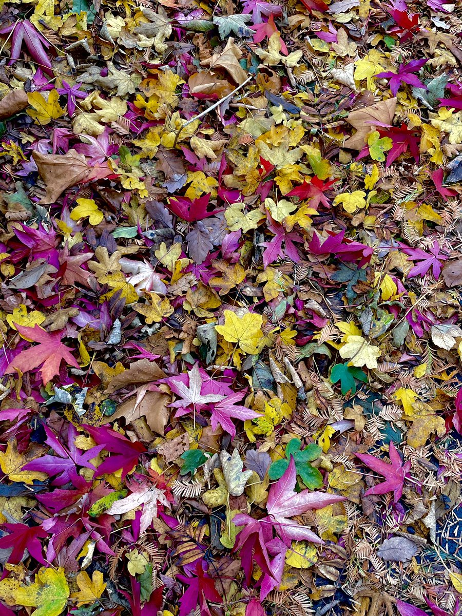 fleetwoodjac's tweet photo. Well played Autumn, well played. https://t.co/TY8BRfc9LK