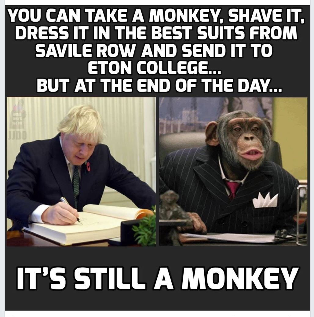 @Sigbertganser @BorisJohnson @OwenPaterson With sincere apologies to chimpanzees!