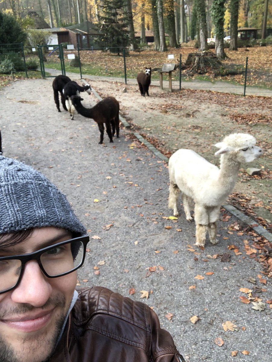 Real_Lt_Columbo's tweet photo. Expertengremium bestätigt: #Fanne hat nicht gespuckt!
#FreeFanne #Fandrich @dfb @DFL_Official @ZweiteB https://t.co/JOlhJs3YR5