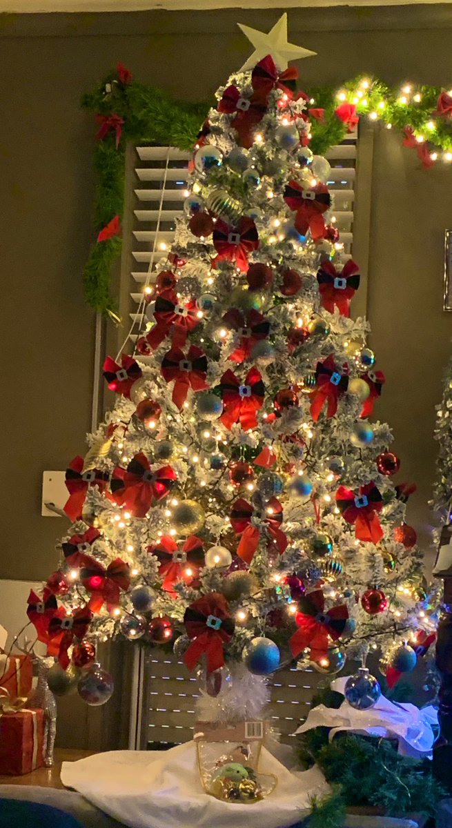 DolphinAnna's tweet photo. @BrentonRagless @np_pageant @TheAdelaideOval @Channel9 @9Now @9NewsAdel @southaustralia Itโs been a tradition to put our Christmas tree ๐ up when the pageant comes to Adelaide #pageantathome https://t.co/S2ZV5xUjNJ