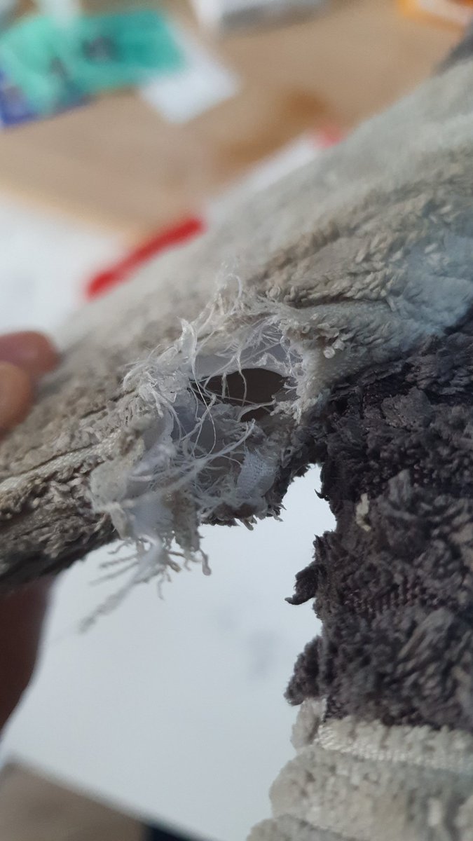 Callum Malone tweet media