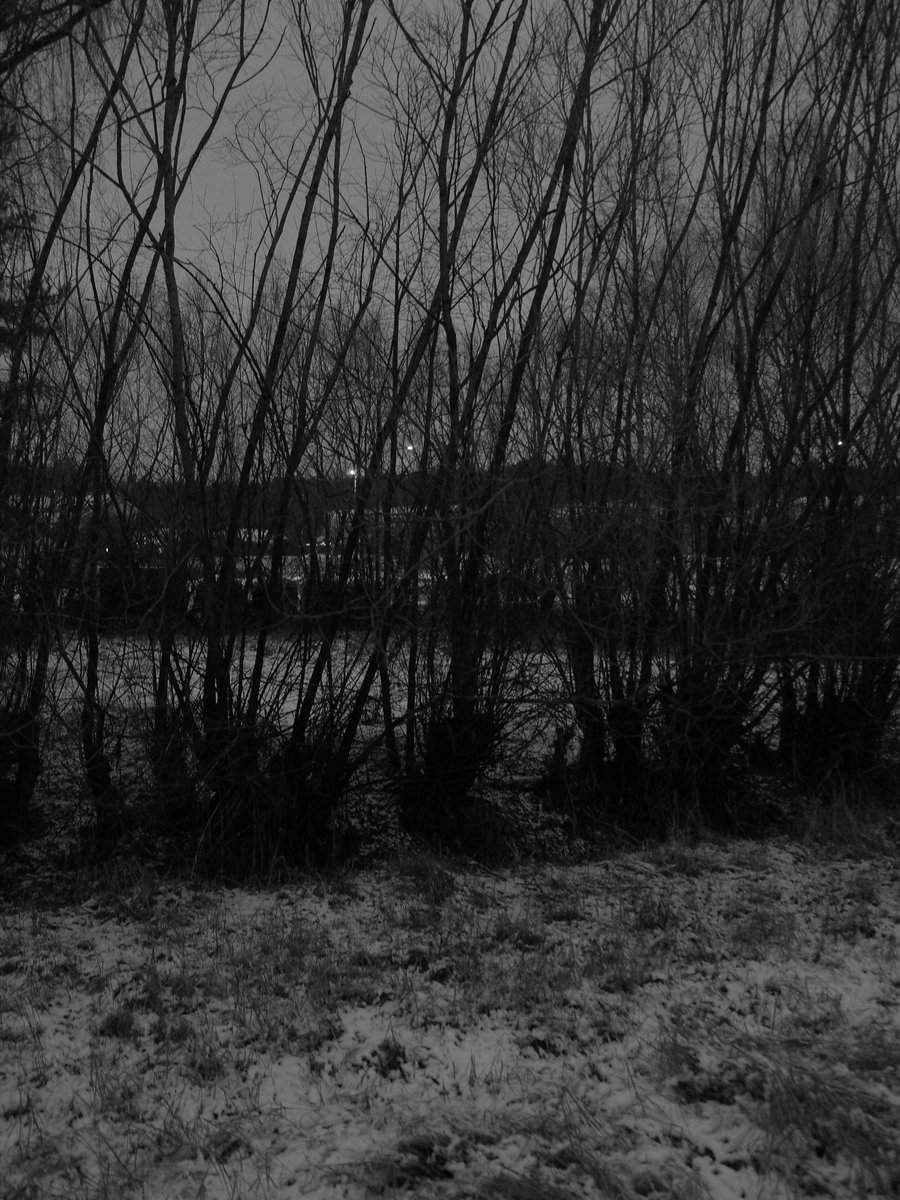 rokki_isi's tweet photo. Through a denuded veil. #denuded #veil #monochrome #blackandwhitephotography #blackandwhitephoto https://t.co/P5SUqjzNlh