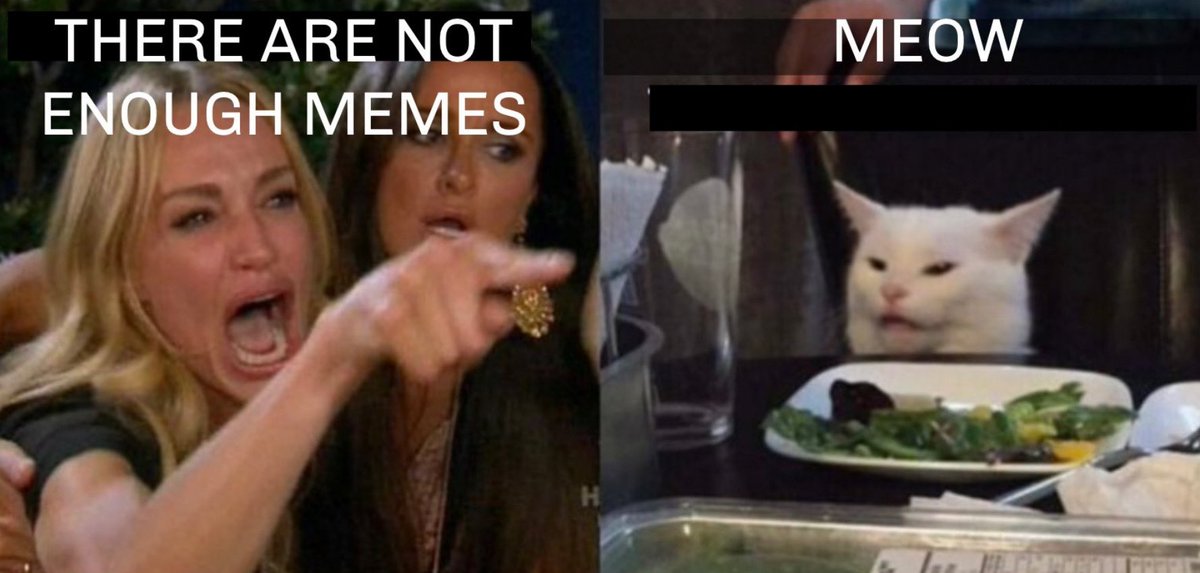 CateCoin tweet media