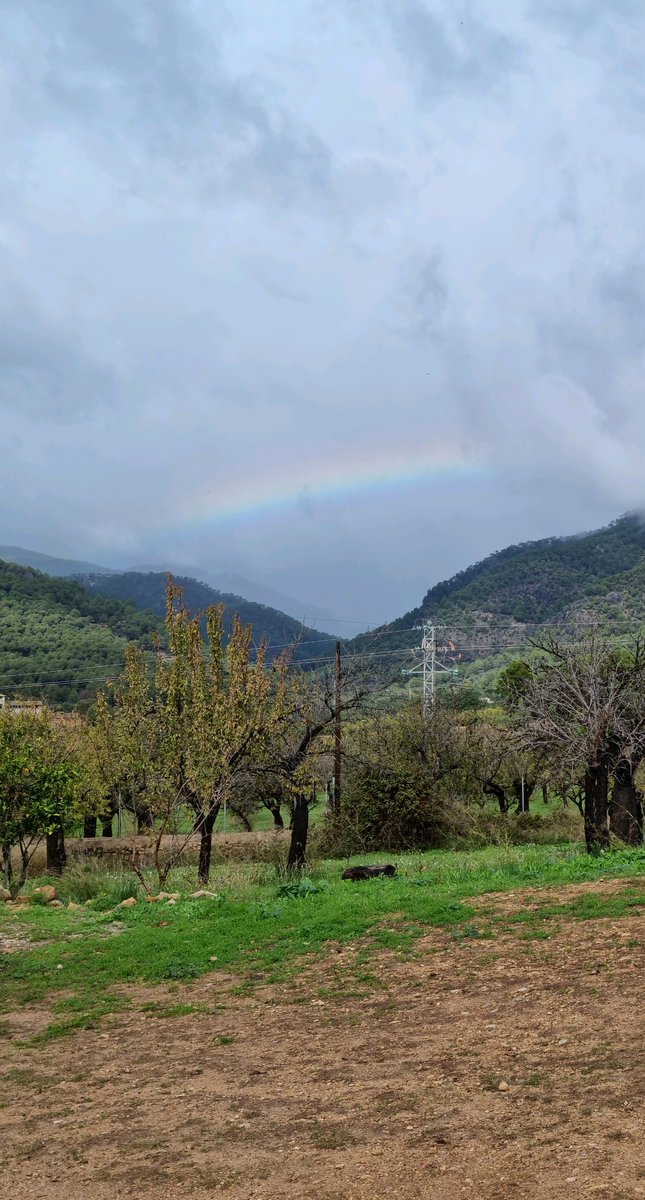 MarAlcover's tweet photo. Darrerament me persegueixen els Arcs de Sant Martí 🌈 https://t.co/CTRGzMByNE