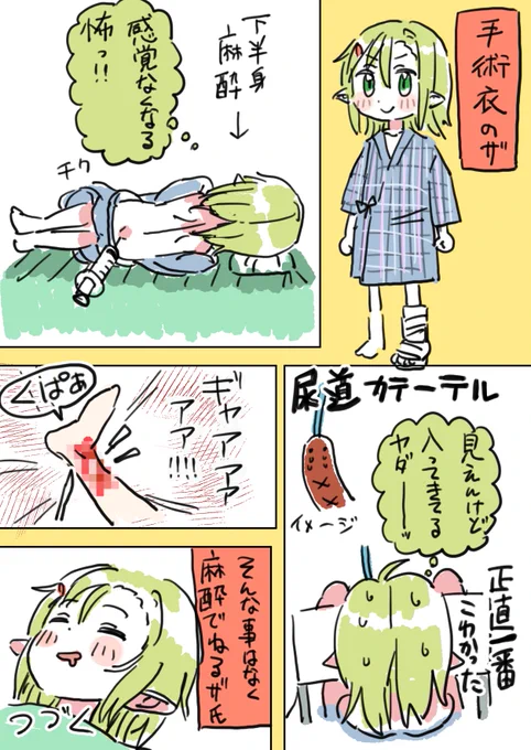 できた。ザクロちゃん入院絵日記その1が。 