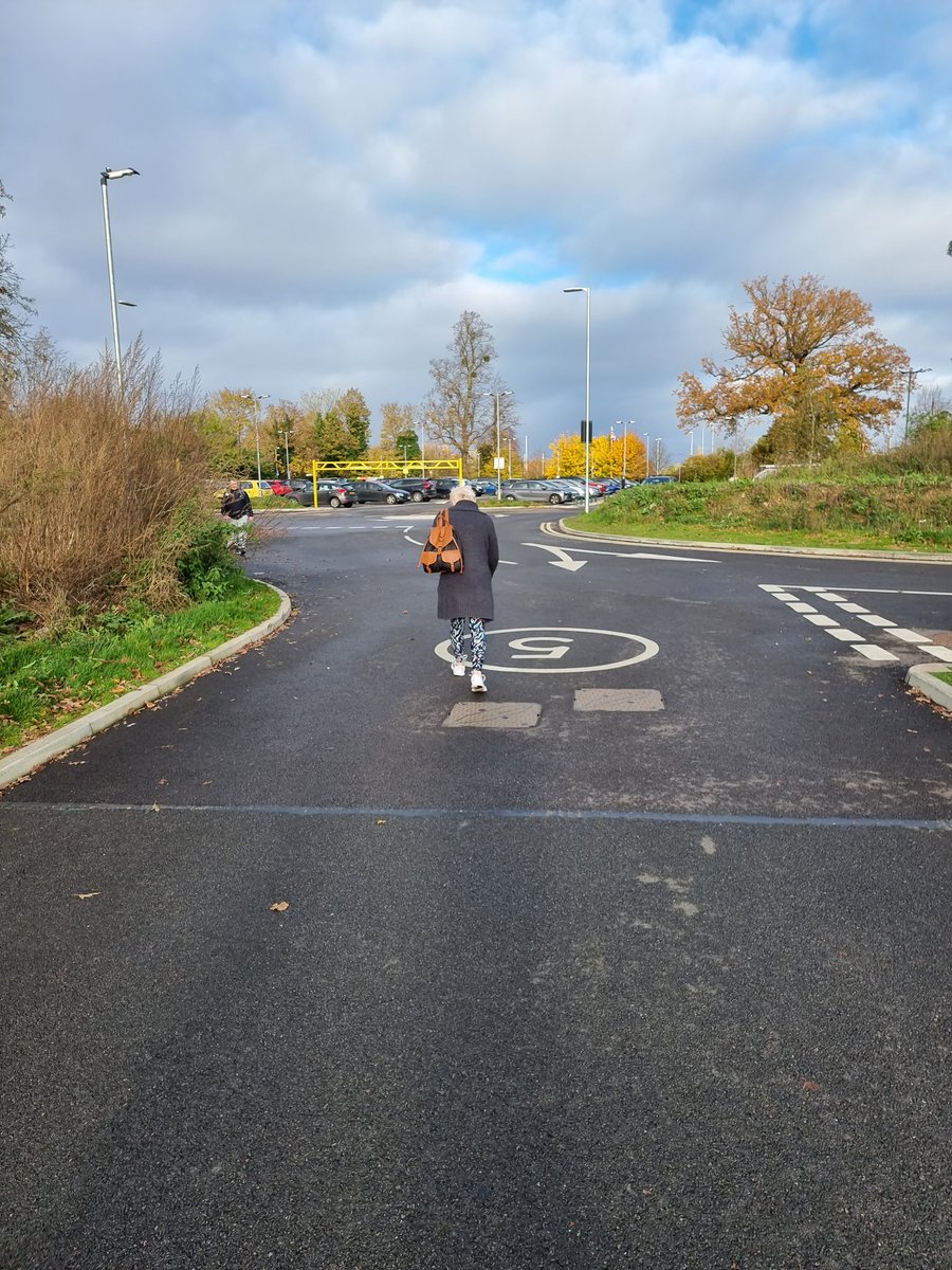 Noel Dolphin tweet media