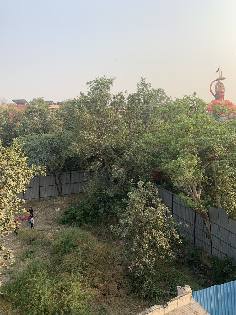 Dpnshi91's tweet photo. @ArvindKejriwal @msisodia @AAPDelhi people cutting trees on the name of “having government permission” !! Who’s writing these permissions to cut trees in exactly central Delhi ?? https://t.co/hcFtflglwA
