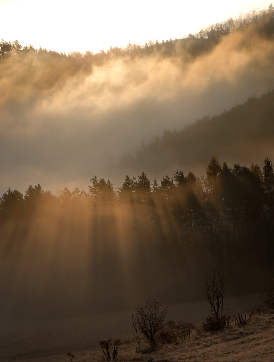 PhilippasPhotos's tweet photo. The sunrise this morning was so beautiful https://t.co/8fu1kQEwZy