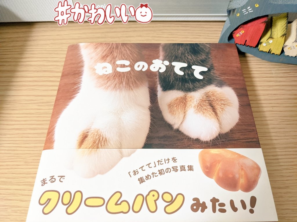 itsukanoame_isk's tweet photo. ここの最高お気に入りCDゾーンにもサーファーサンタさん忍ばせてみた👍🎄✨
#SoulandMuzick #SOLZICK
#祈り #サーム #Hama
#眩暈 #Psalm #Kengo
#ねこのおてて #猫
この本がまた可愛くて可愛くて🐾🥰❤このシリーズ集めたいw https://t.co/E4ySx4H6BI