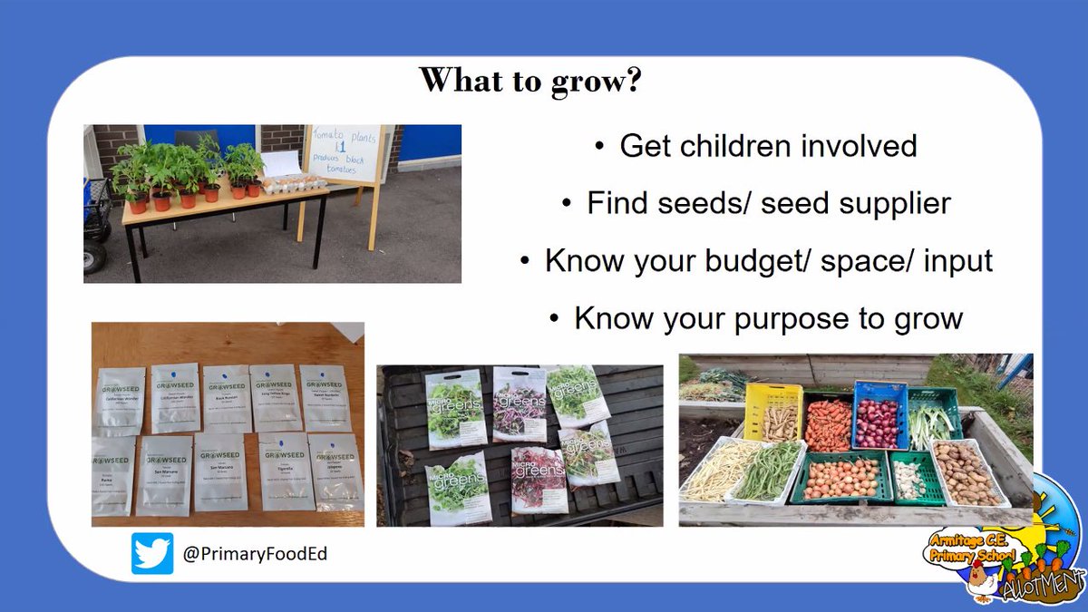 Haydn Bettles <a href="/PrimaryFoodEd/">Haydn Bettles</a> talks to us about the practical side of growing food at school. Do you grow your own fruit and vegetables at school or at home? Let us know! #FFLconf 🫑🌶️🍅🥬