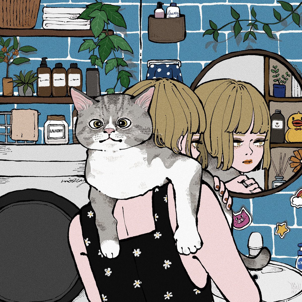 _mlllly_'s tweet photo. 猫のいる生活 https://t.co/Ikc8fX9cin