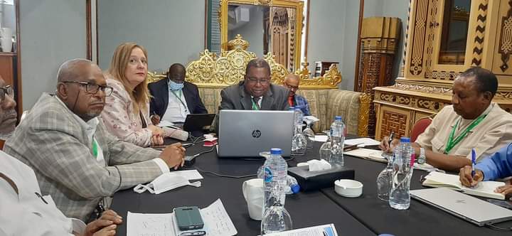 Africa Business Council tweet media