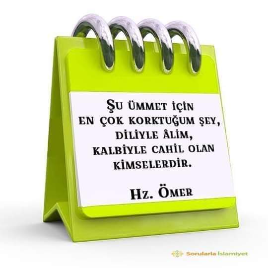 AK_ŞAFAKYILDIZI®EVET tweet media