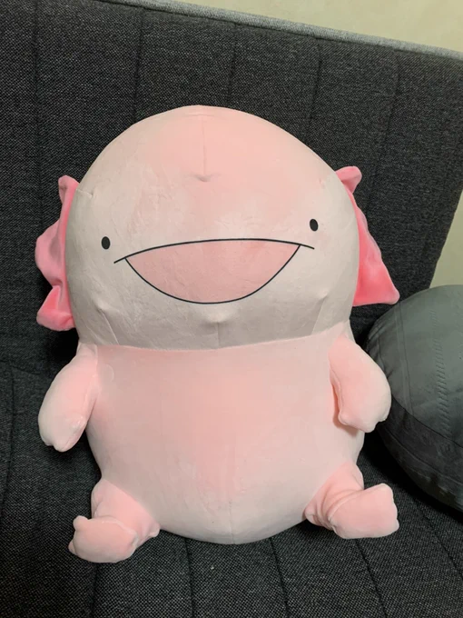 200円で取ったウーパールーパー 