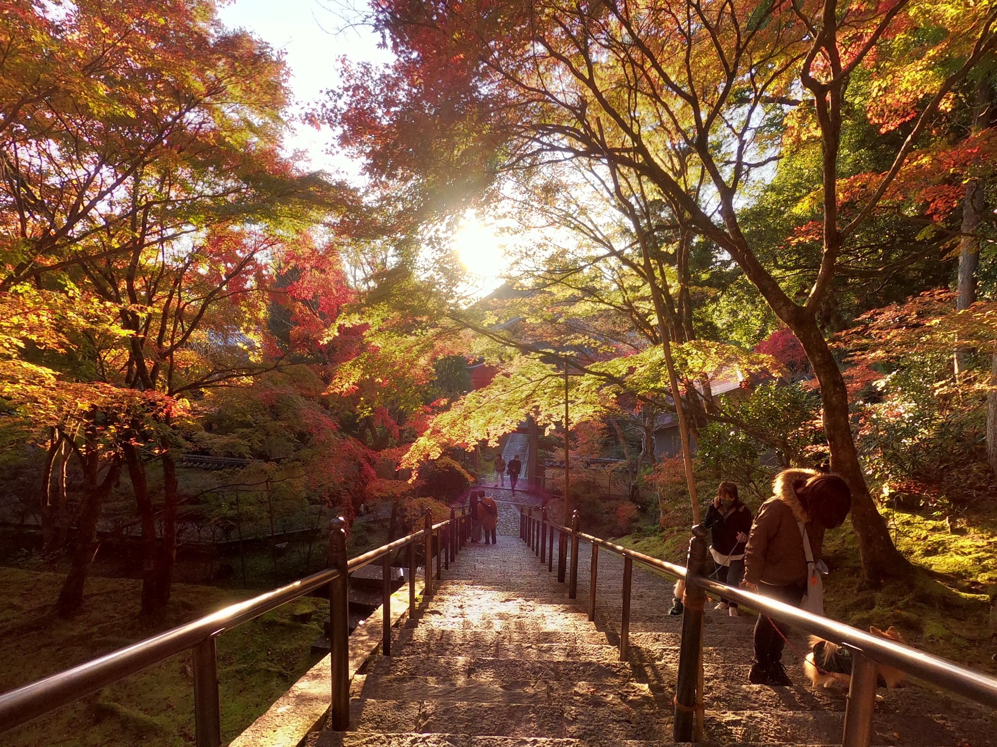 御嶽山 播州清水寺 本日の本坊前庭園 夕陽に染まる紅葉がとても美しいです 紅葉の播州清水寺にどうぞお越しください 秋の本坊展示 無料 東条秋津窯 結び創作工房 惠 11 21 土 11 21 日 10 00 16 00 播州清水寺 観光事業部 T