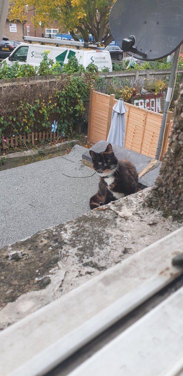 Excuse me, who the fuck are you????