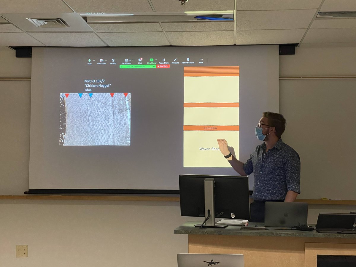 Lindsay Zanno tweet media