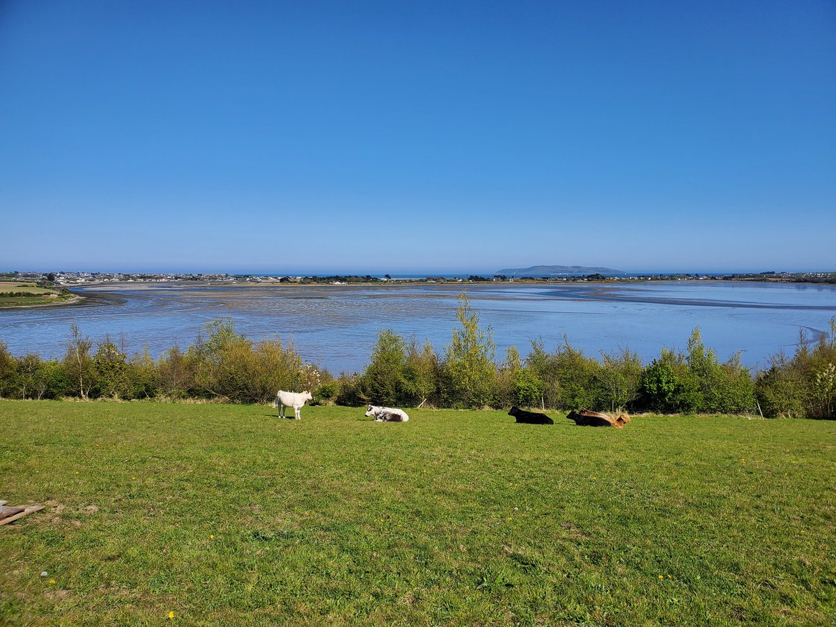 RushTourism's tweet photo. Rogerstown Park open today 930am to 4pm incredible panoramic views of the North County #Rush #Rogerstown #Lusk #Lambay https://t.co/2Xpv7r5U30