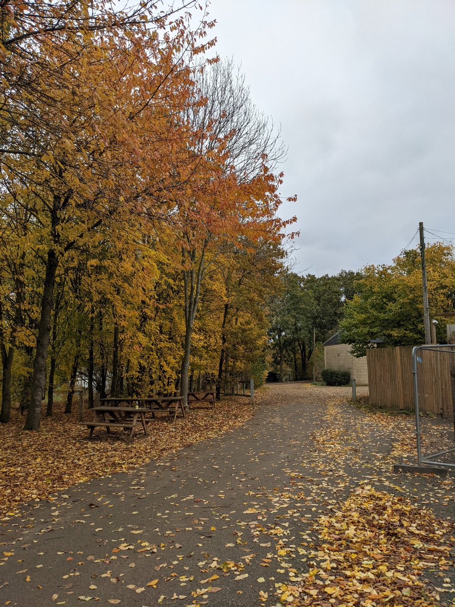 Teresa Forgione (@teresamforgione) on Twitter photo Well, that was a nice way to start the day #ParkRunTourist Thanks <a href="/Irchyparkrun/">Irchester Country parkrun</a>! Well, that was a nice way to start the day #ParkRunTourist Thanks <a href="/Irchyparkrun/">Irchester Country parkrun</a>!