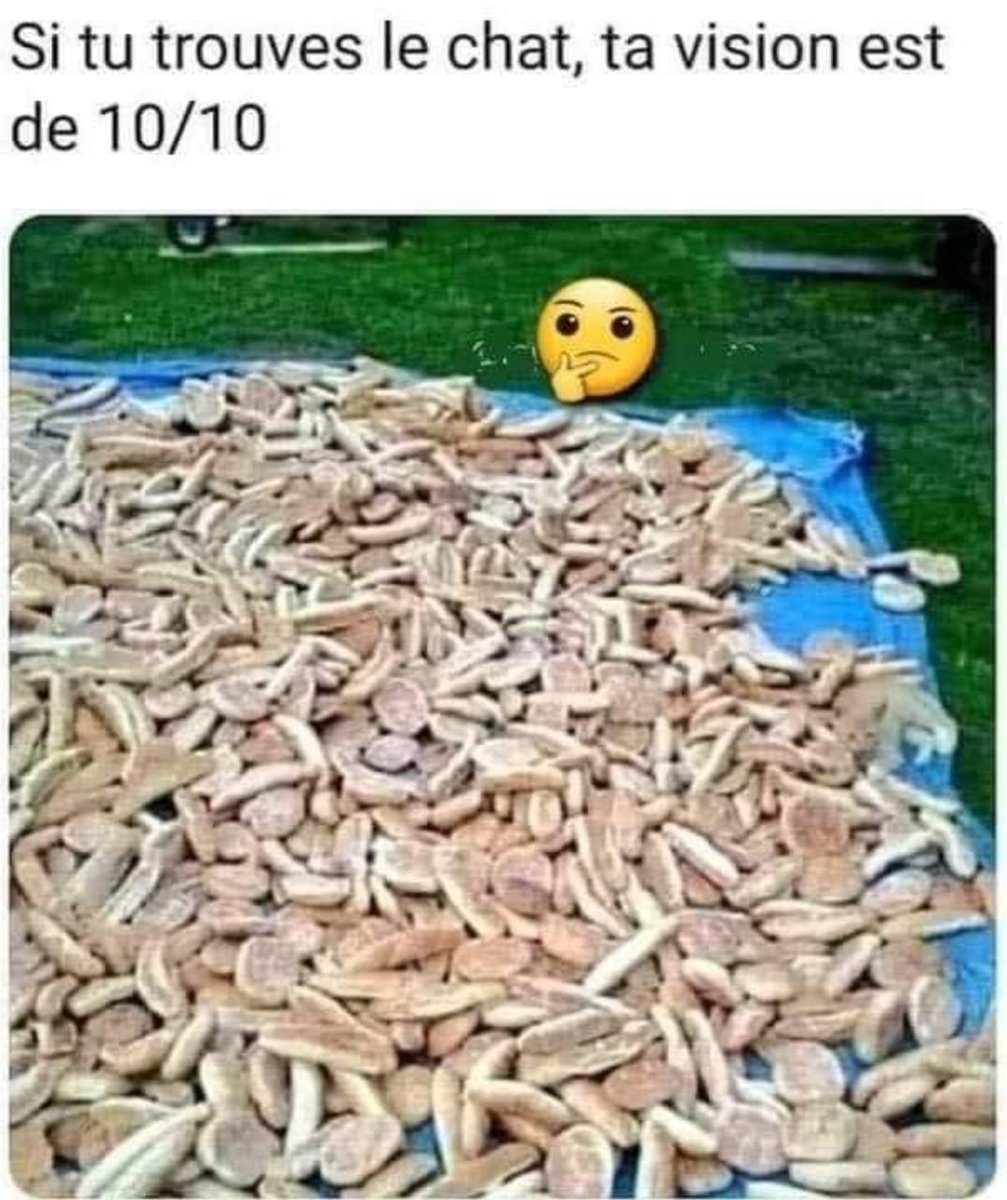 2Chauvier's tweet photo. Heu... Je ne sais pas ! https://t.co/Mi745YUTWA
