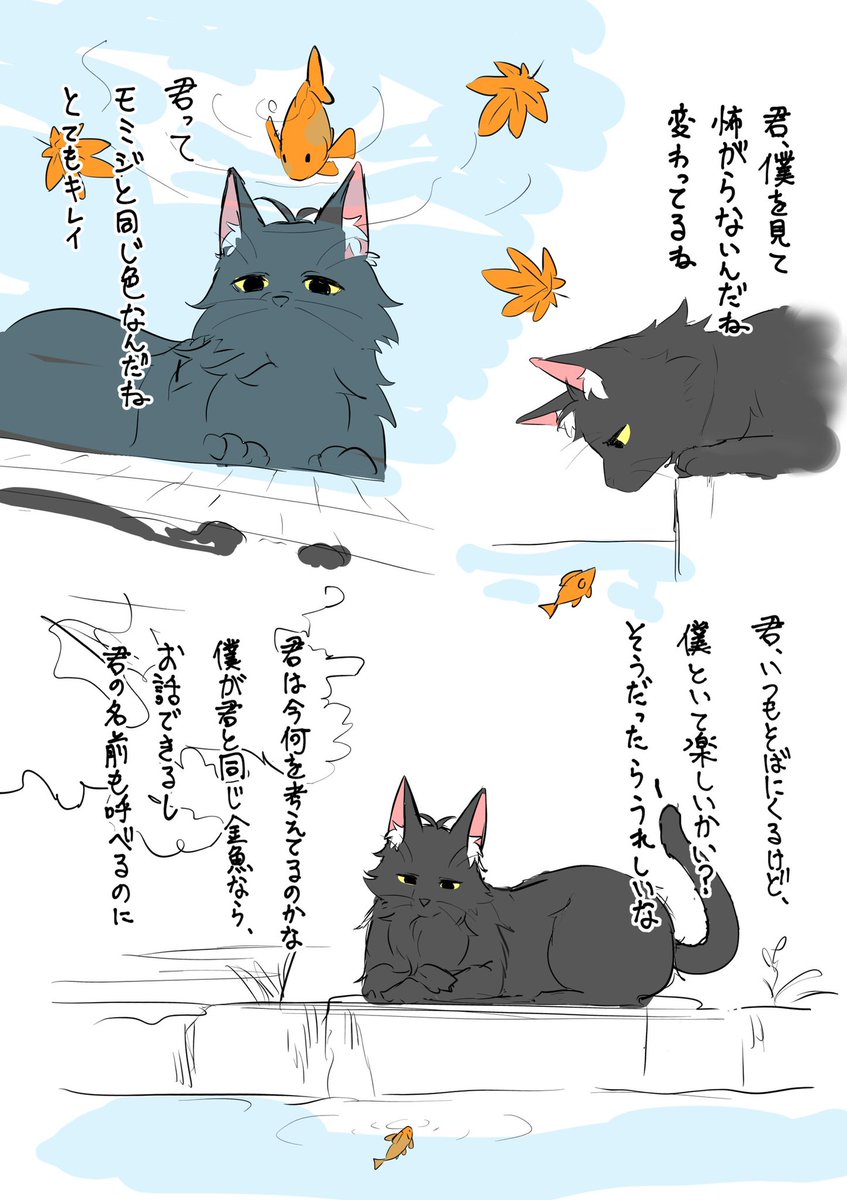 黒い猫と金魚 